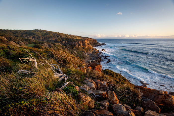 Watch our latest video - Wilyabrup Valley
