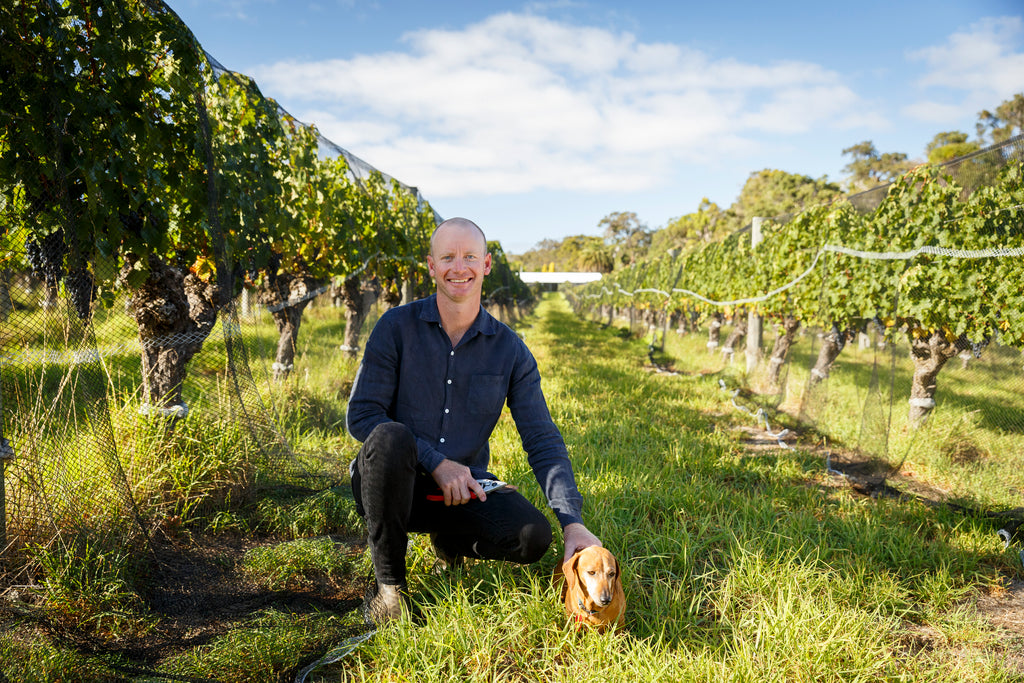 Young Gun Of Wine - Vineyard Of The Year Awards