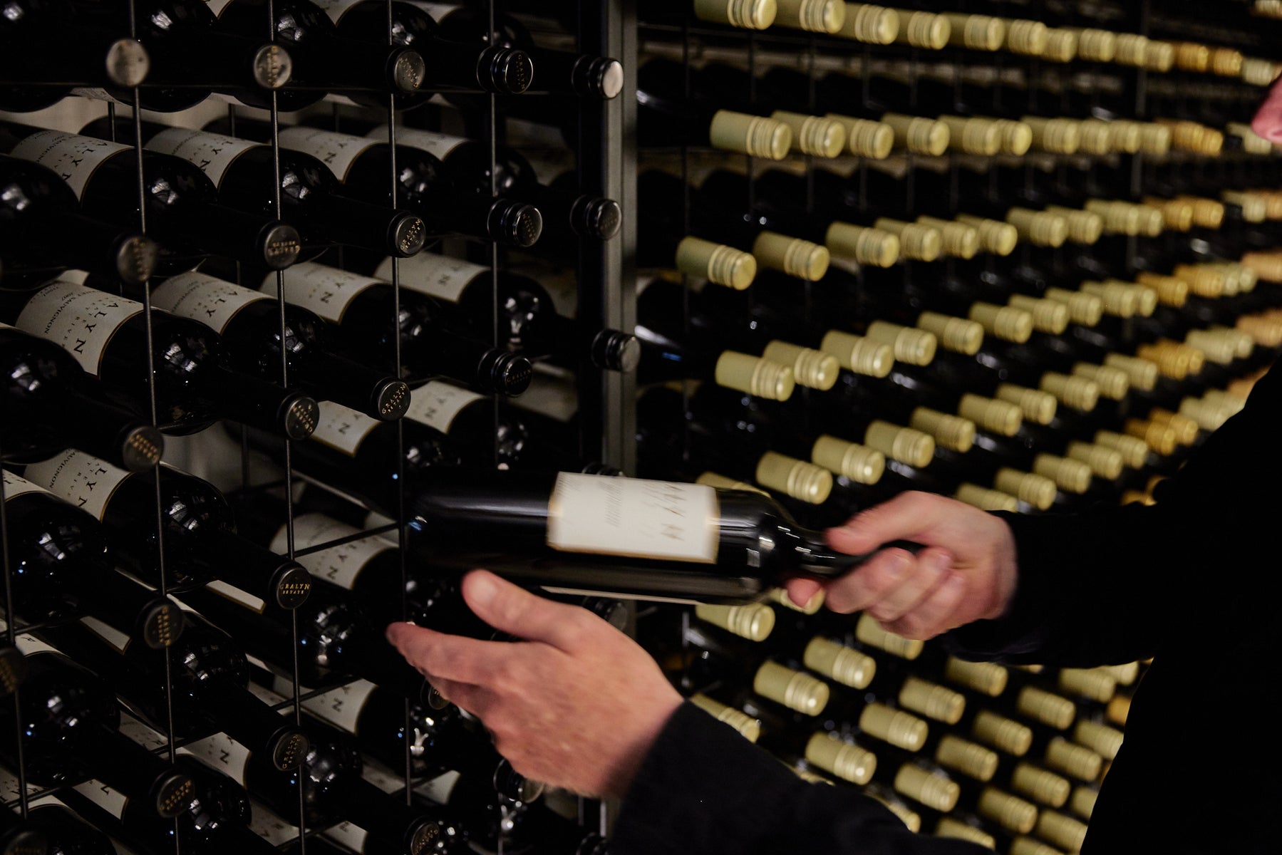 Reserve Shiraz Vertical Collection